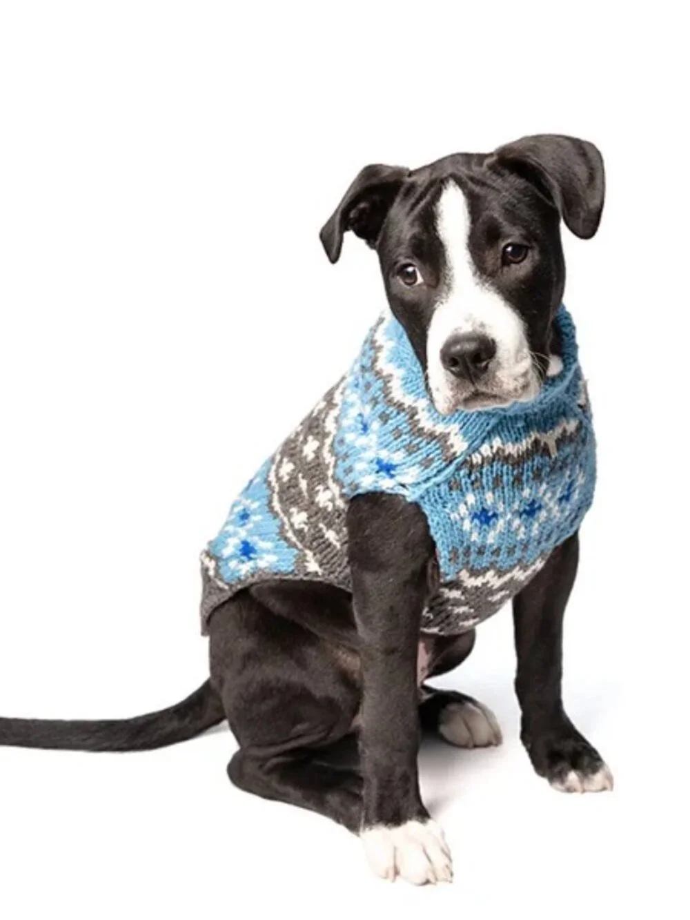 NWT Chilly Dog Light Blue Fair Isle Hand Knit Wool Dog Sweater